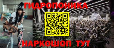 шишки Азнакаево